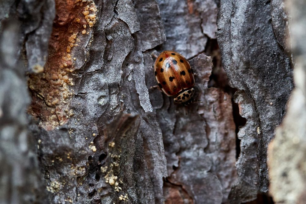 Фотография автора Игорь Игоревич