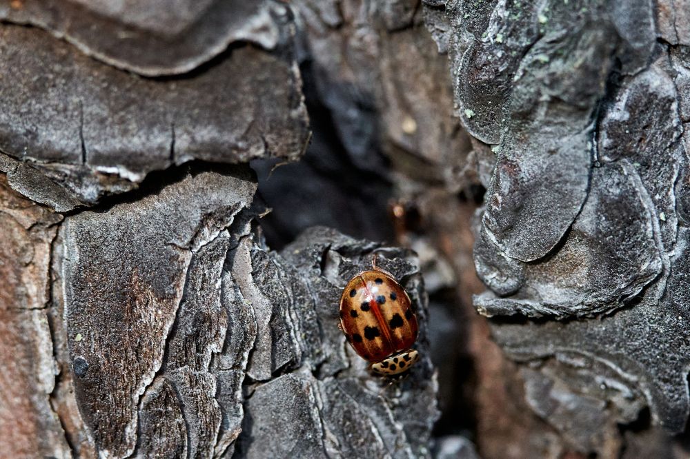 Фотография автора Игорь Игоревич