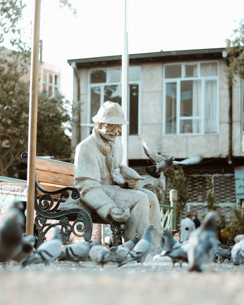 Фотография автора Mohammad Mohammadpour