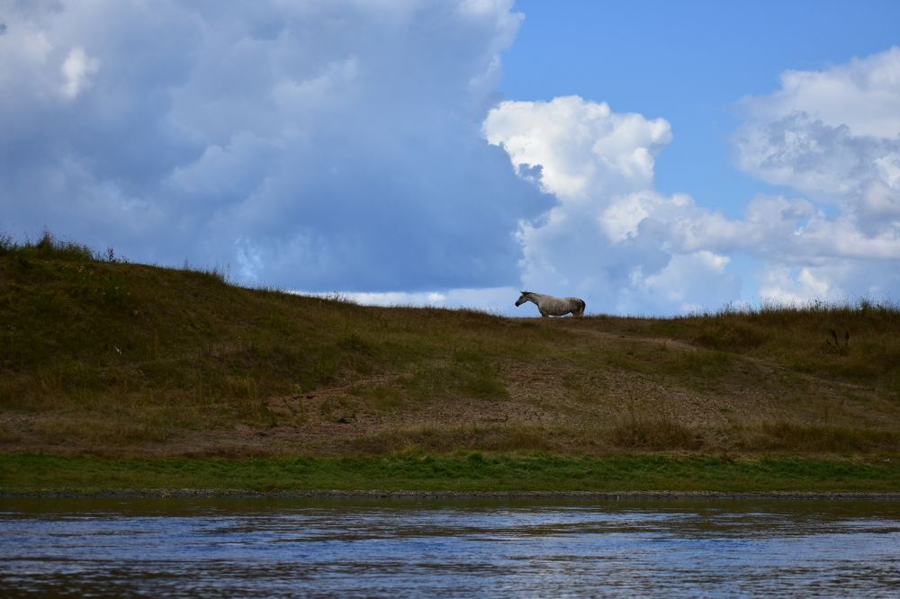 Photograph by Надежда Котовская