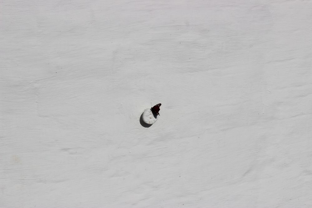 Photograph by Вячеслав Атаманов