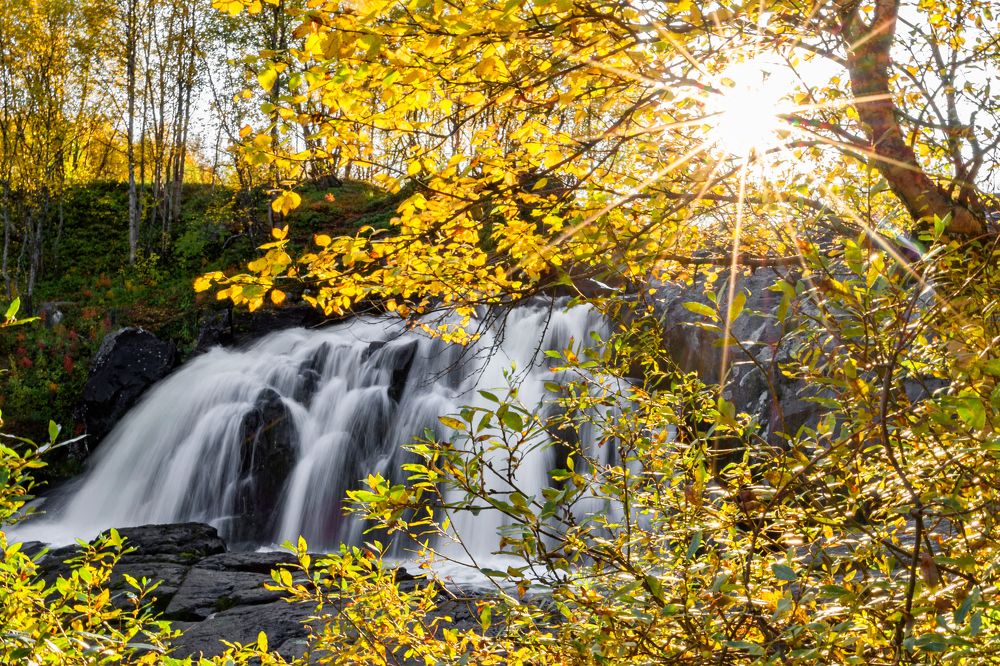 Photograph by Оксана Кузнецова