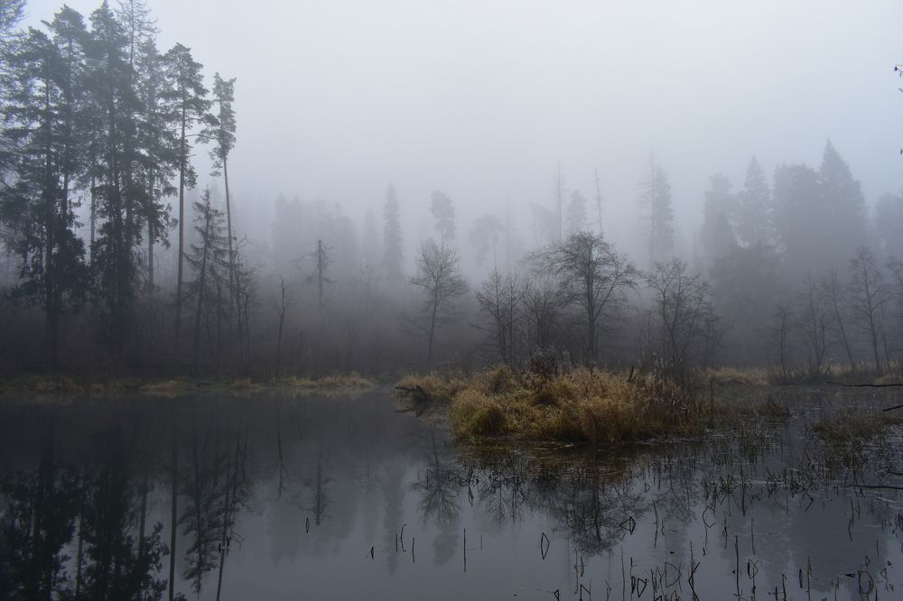 Photograph by Надежда Котовская