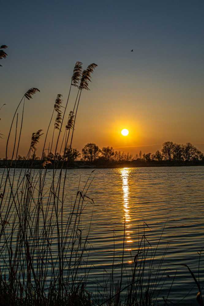 Фотография автора Владислав Жован