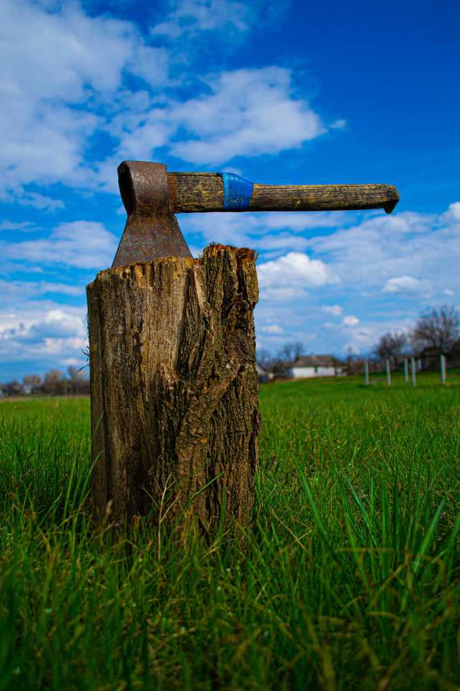 Фотография автора Владислав Жован