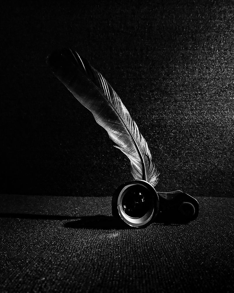 Свет и тень - перо и линза