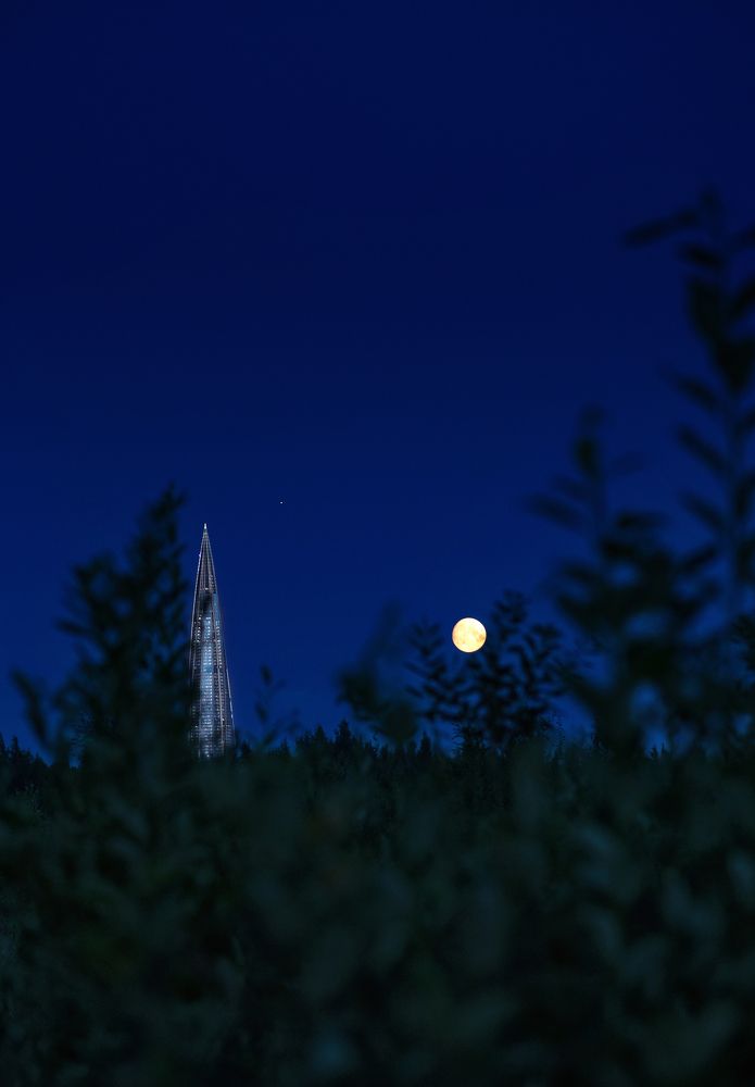 Photograph by Юлия Яровая