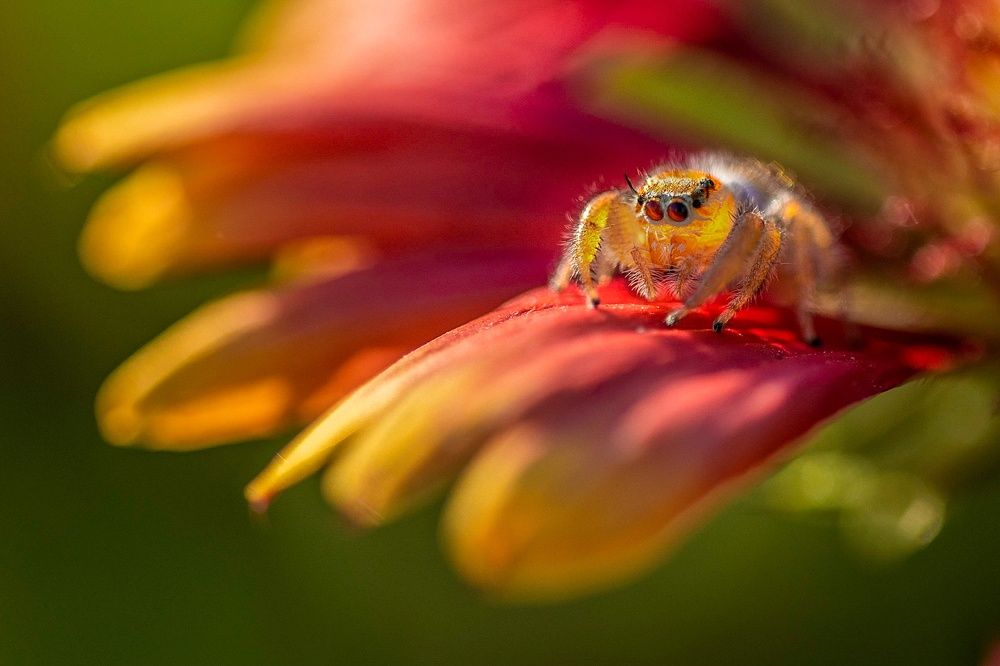 Photograph by Safdar Bin abbas