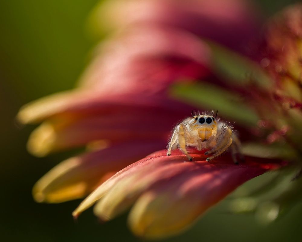 Photograph by Safdar Bin abbas