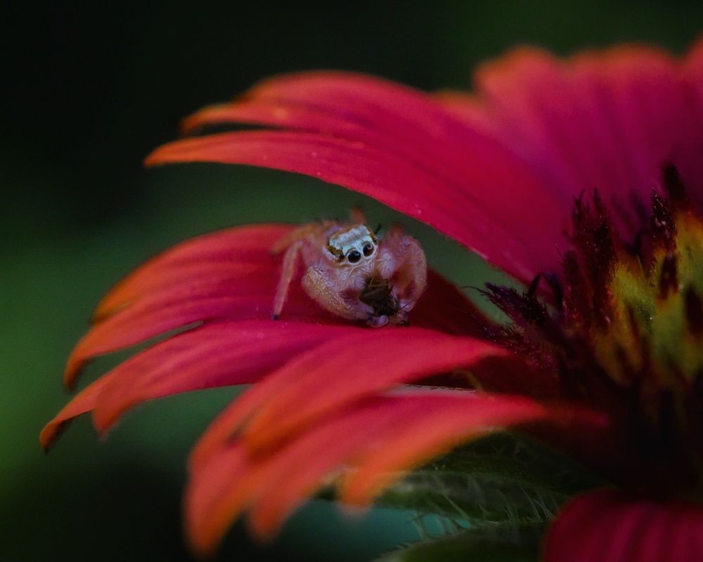 Photograph by Safdar Bin abbas