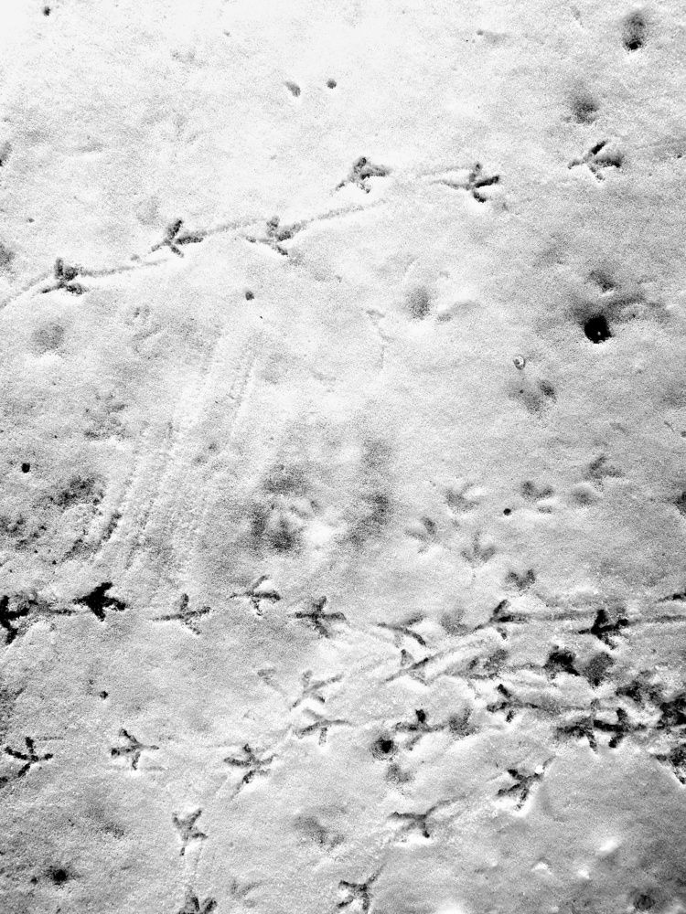 Photograph by Frolova Nataliya