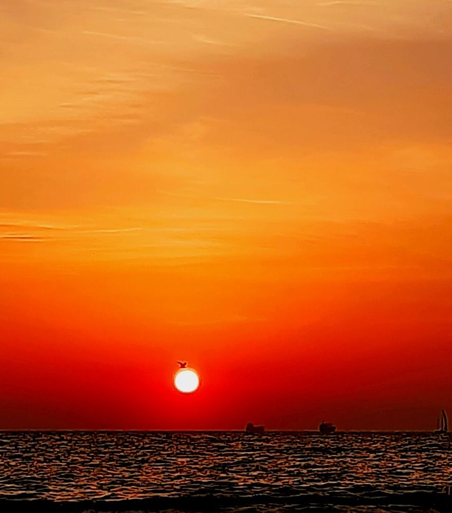 Photograph by Ирина Гнатюк