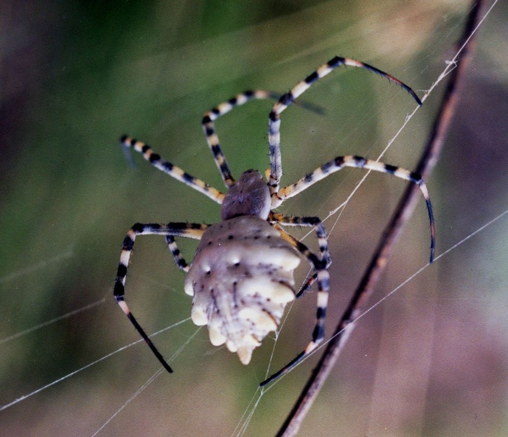 Photograph by Анна Матецкая