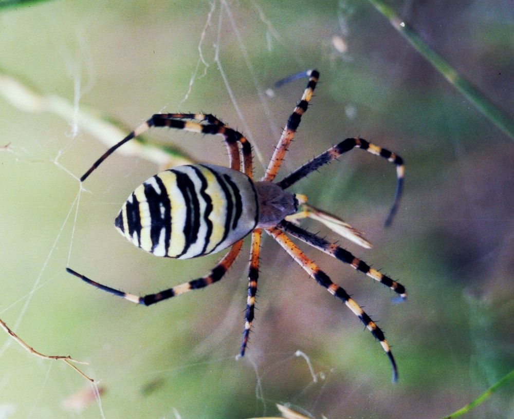 Photograph by Анна Матецкая