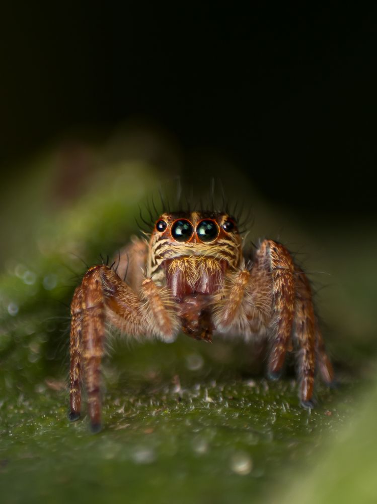 Photograph by Anandu S nair