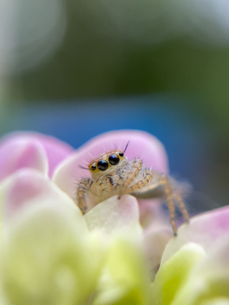 Photograph by Anandu S nair