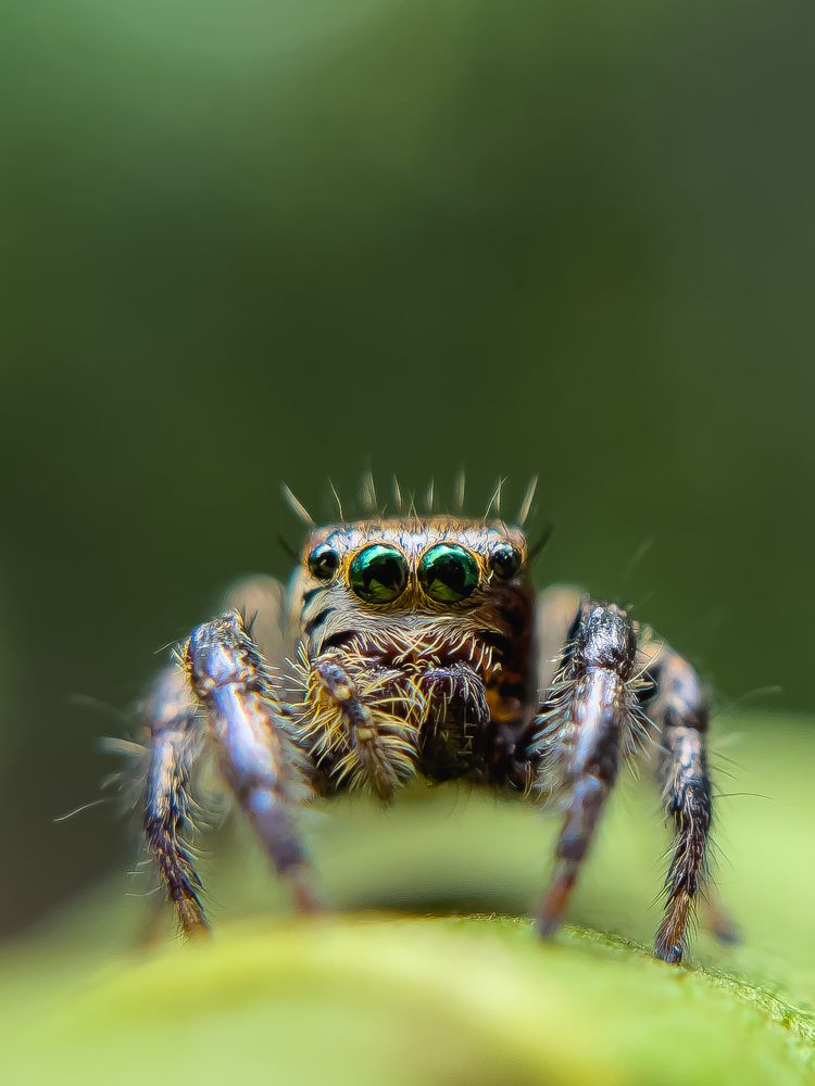 Photograph by Anandu S nair