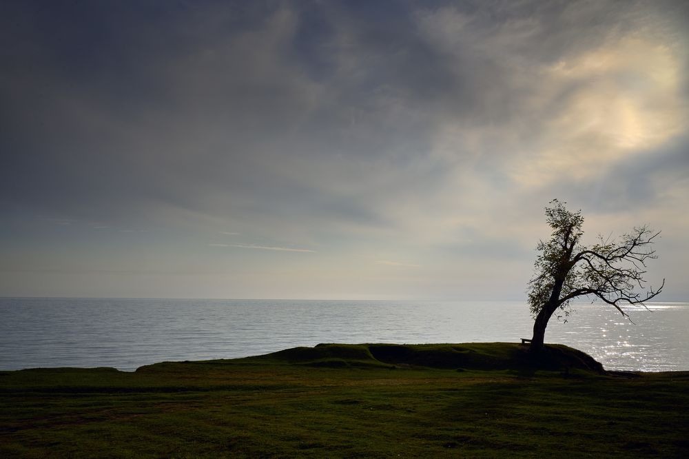 Photograph by Лариса Процкова