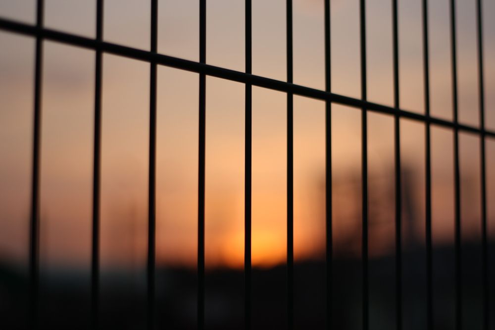 Photograph by Алексей