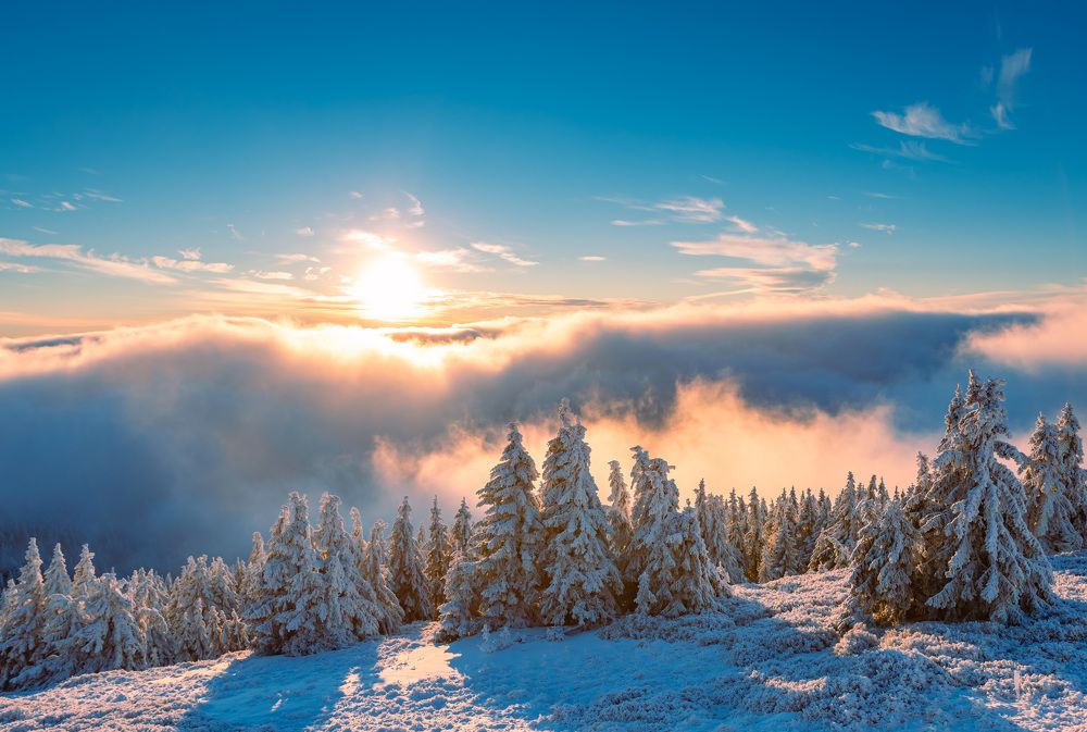 Photograph by Tomáš Jurník