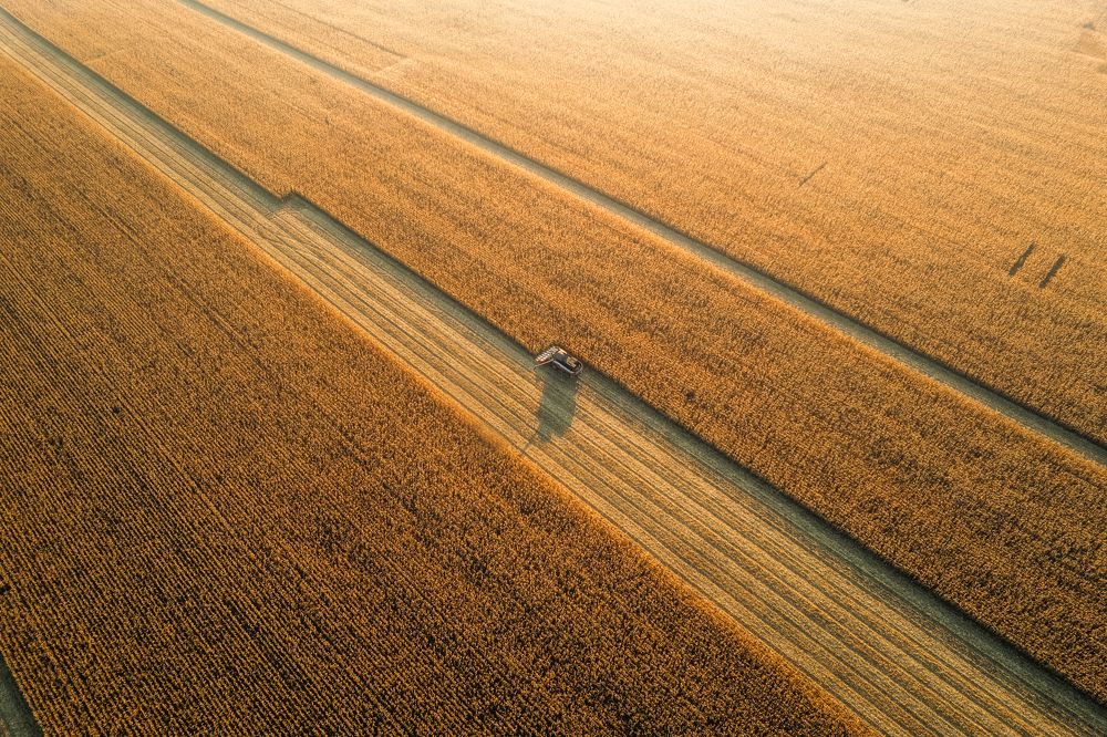 Photograph by Николай Брытков