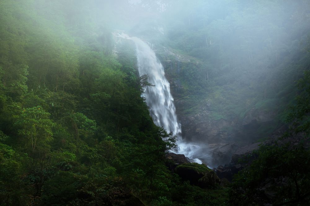 Photograph by Jayanta Guha