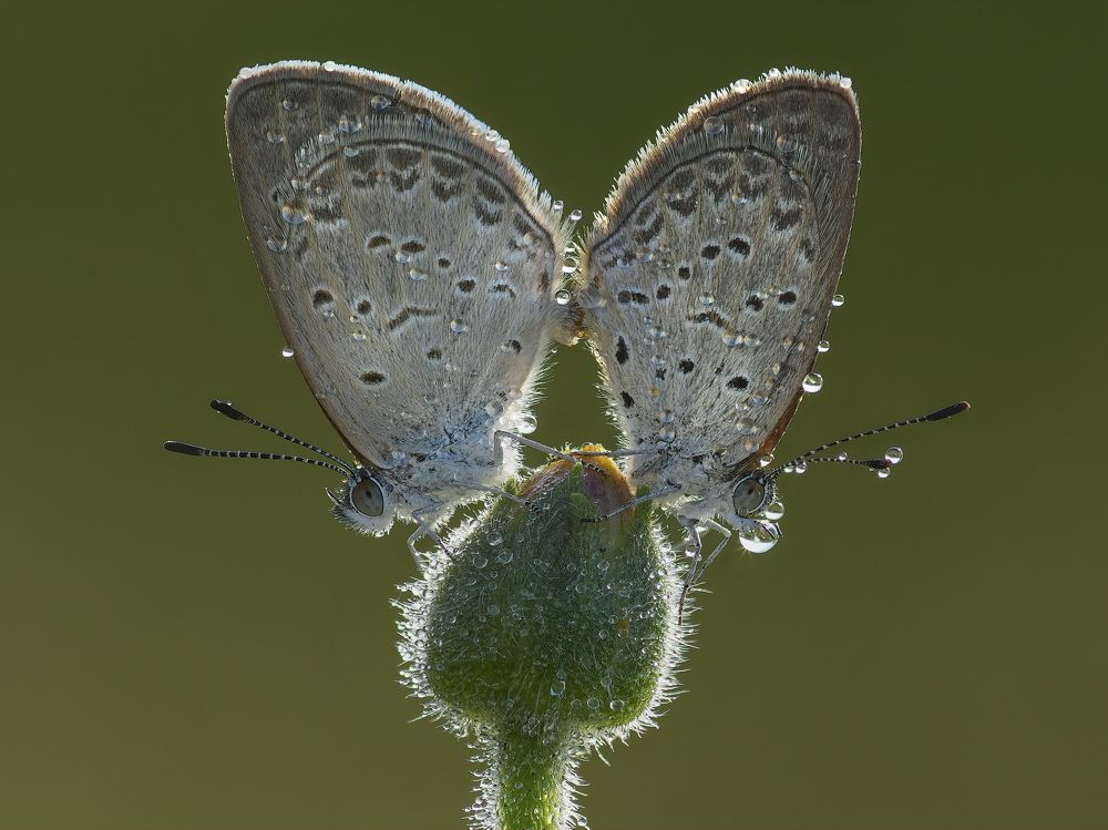 Photograph by Ha Phi Thi Thu