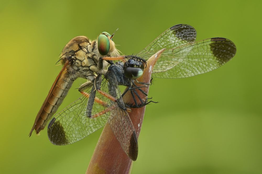 Photograph by Ha Phi Thi Thu