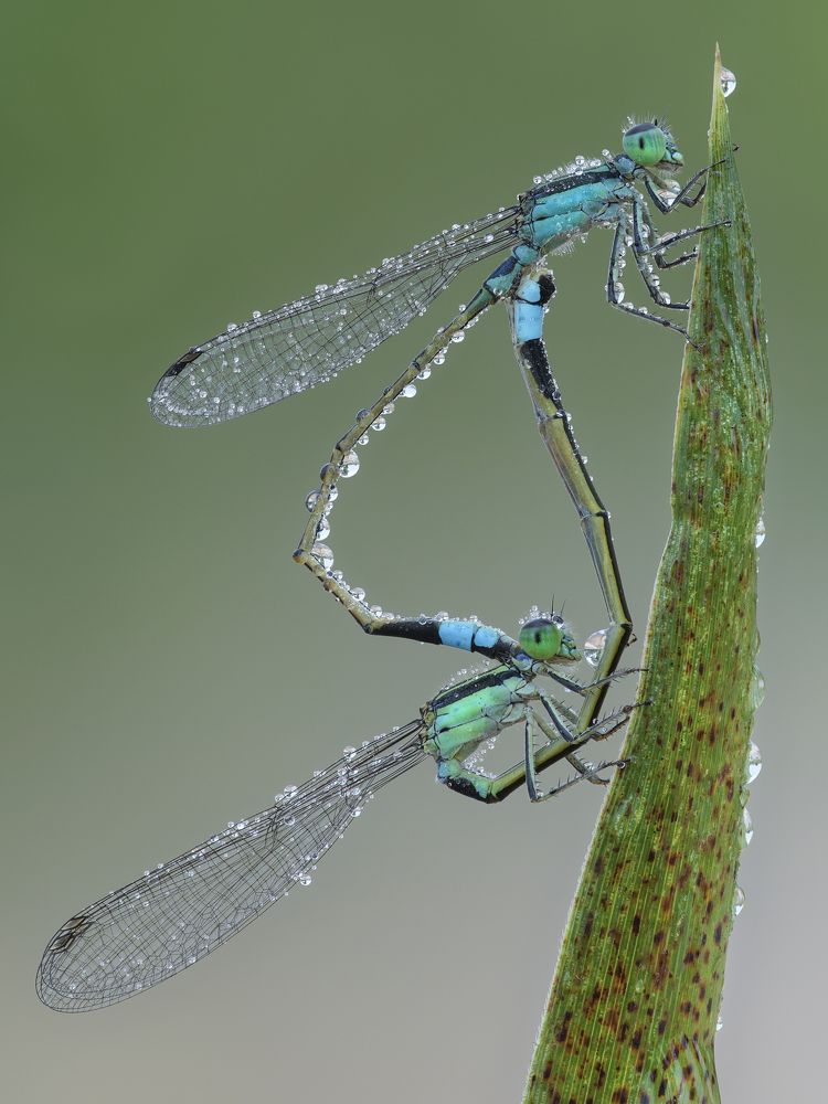 Photograph by Ha Phi Thi Thu