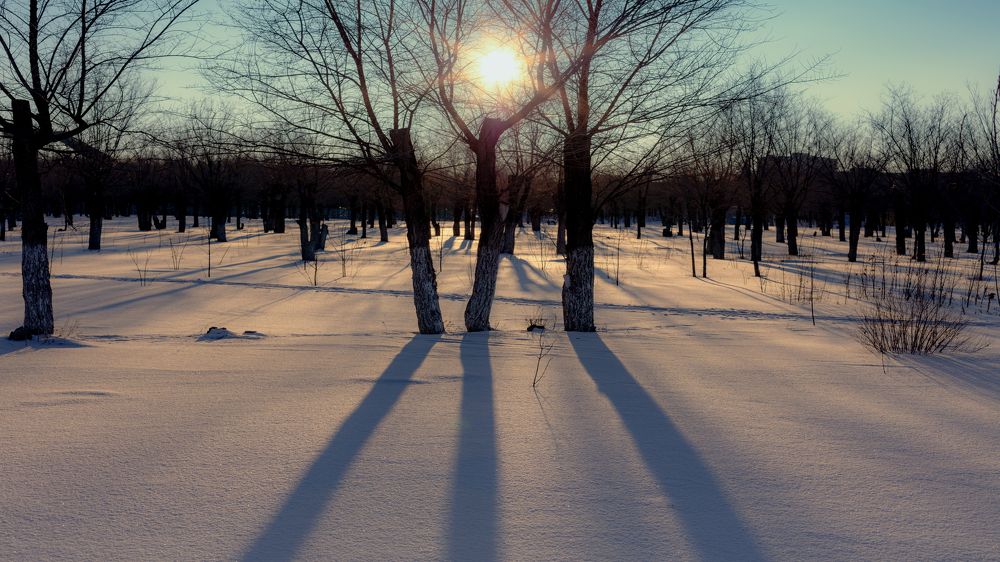 Photograph by Сергей Евстафьев