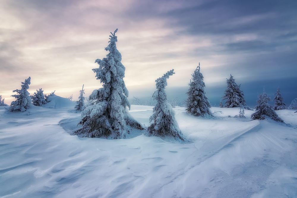 Зимняя акварель