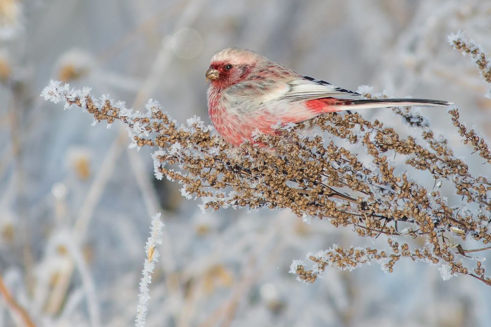 Фотография автора Суслов Дмитрий