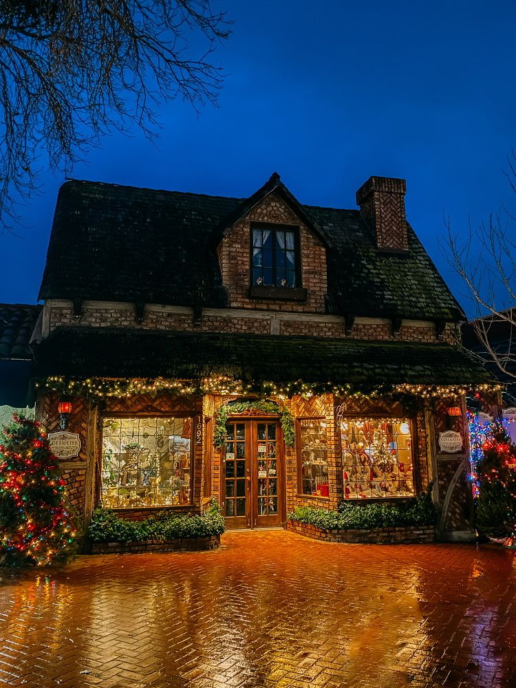 Photograph by Anna Vlasova