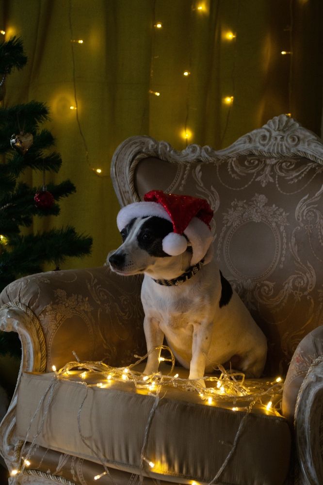 Фотография автора Владислав Жован