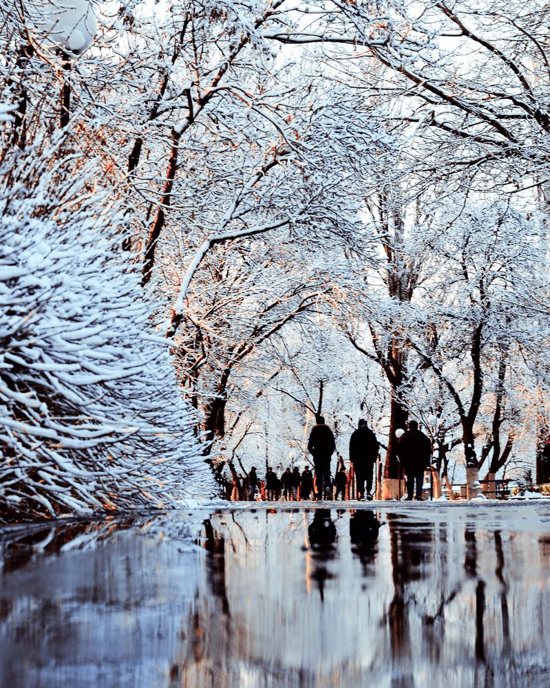 Фотография автора Mohammad Mohammadpour