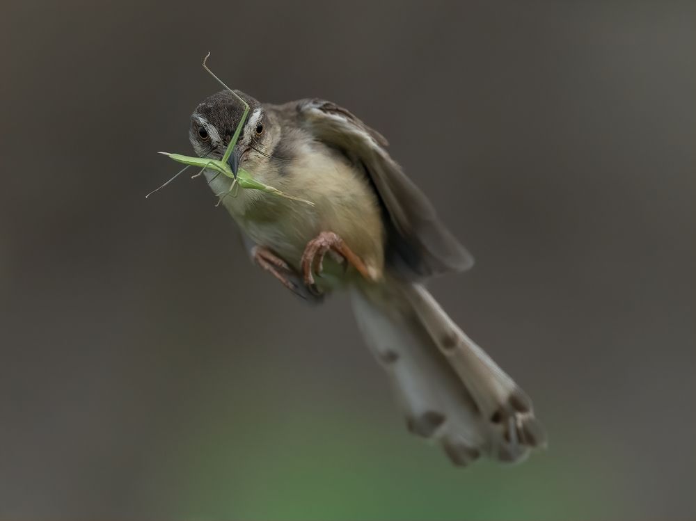 Photograph by Ha Phi Thi Thu