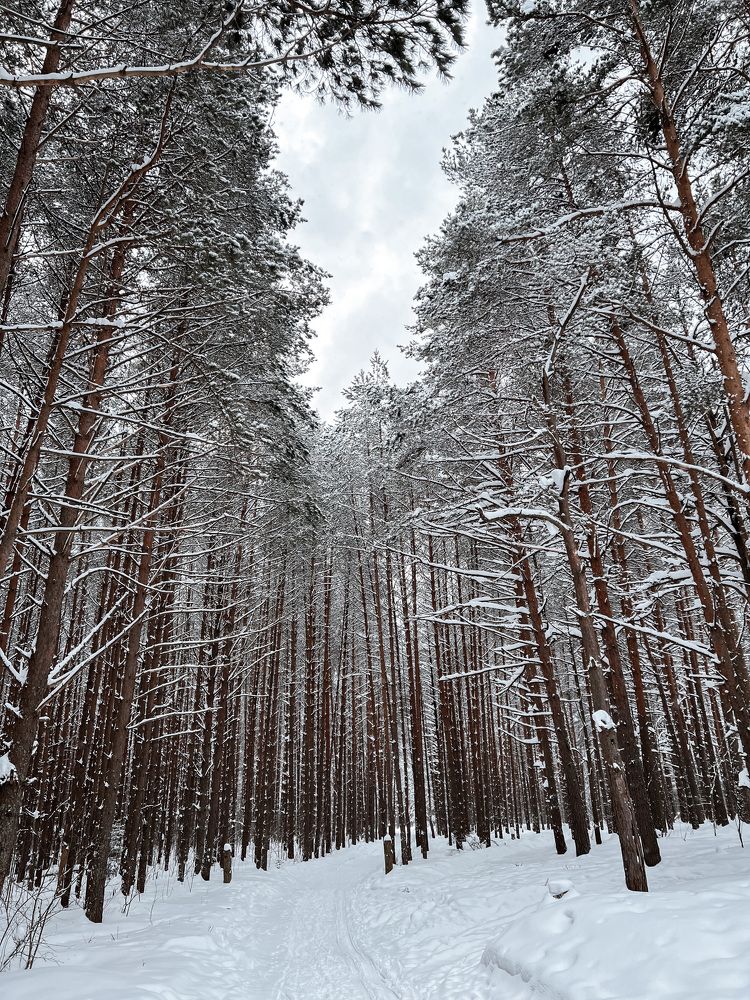 Photograph by Катя