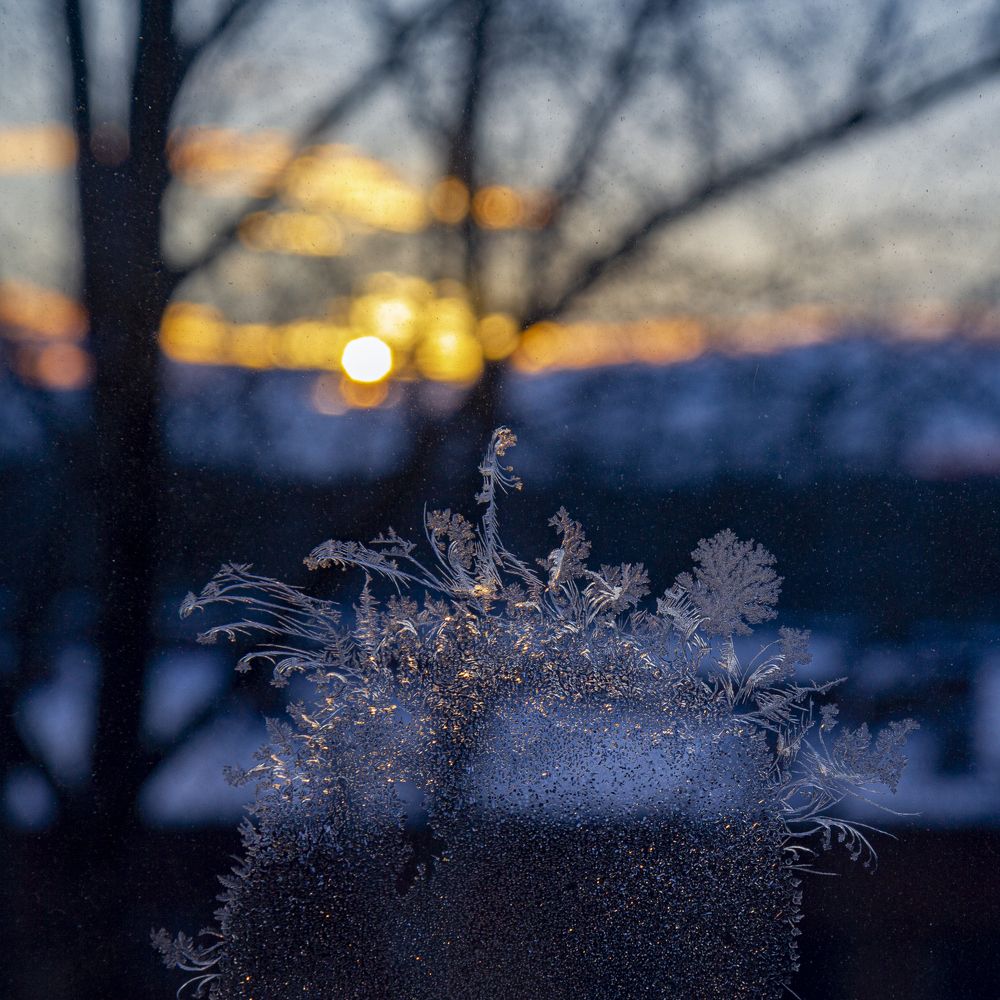 Photograph by Игорь Кутний