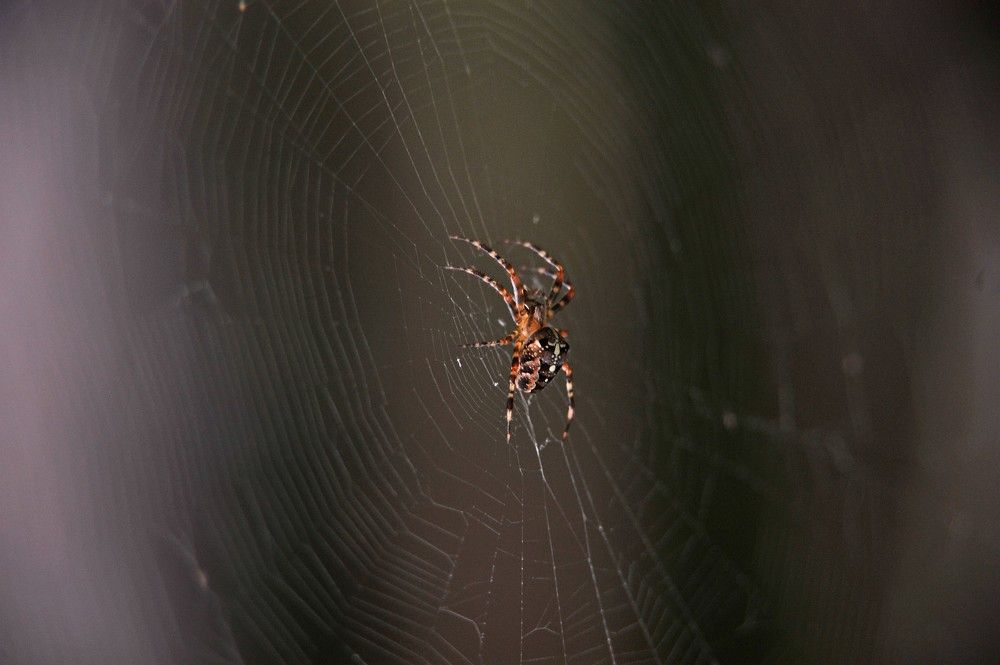 Photograph by Юрий Яковлев