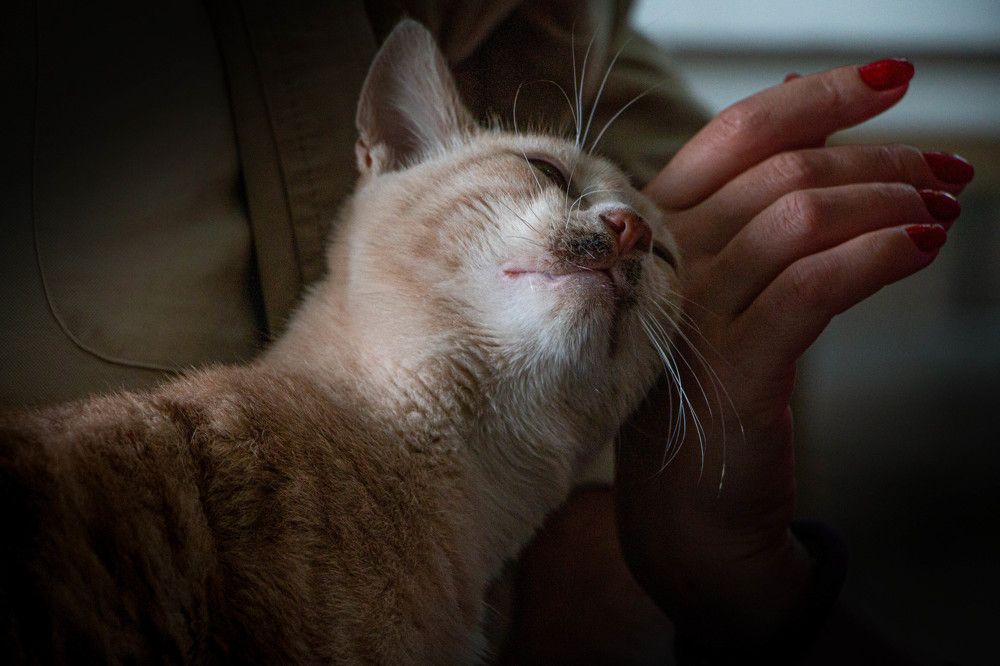 Photograph by Таймураз Гумеров