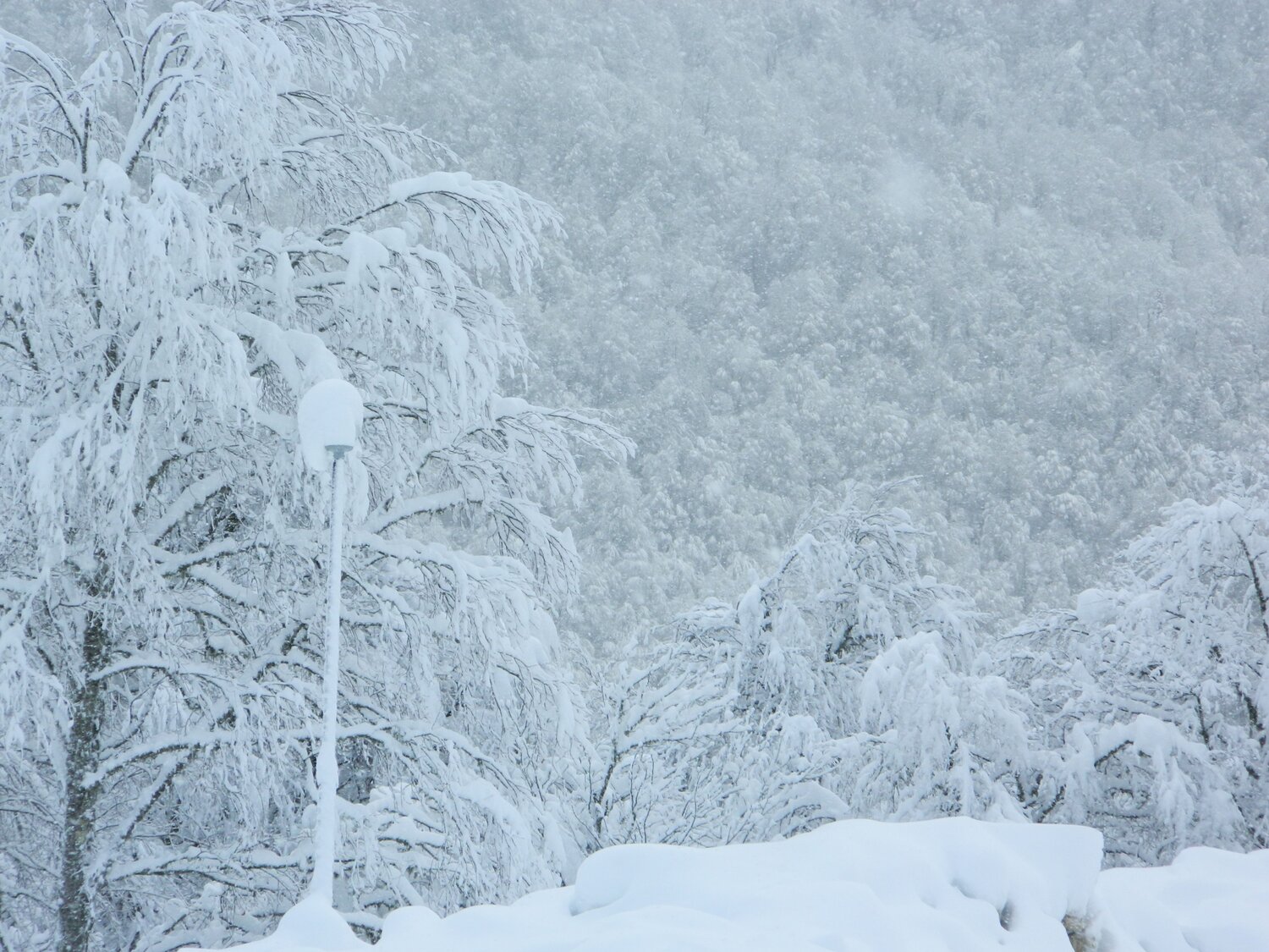 Photo #7101333