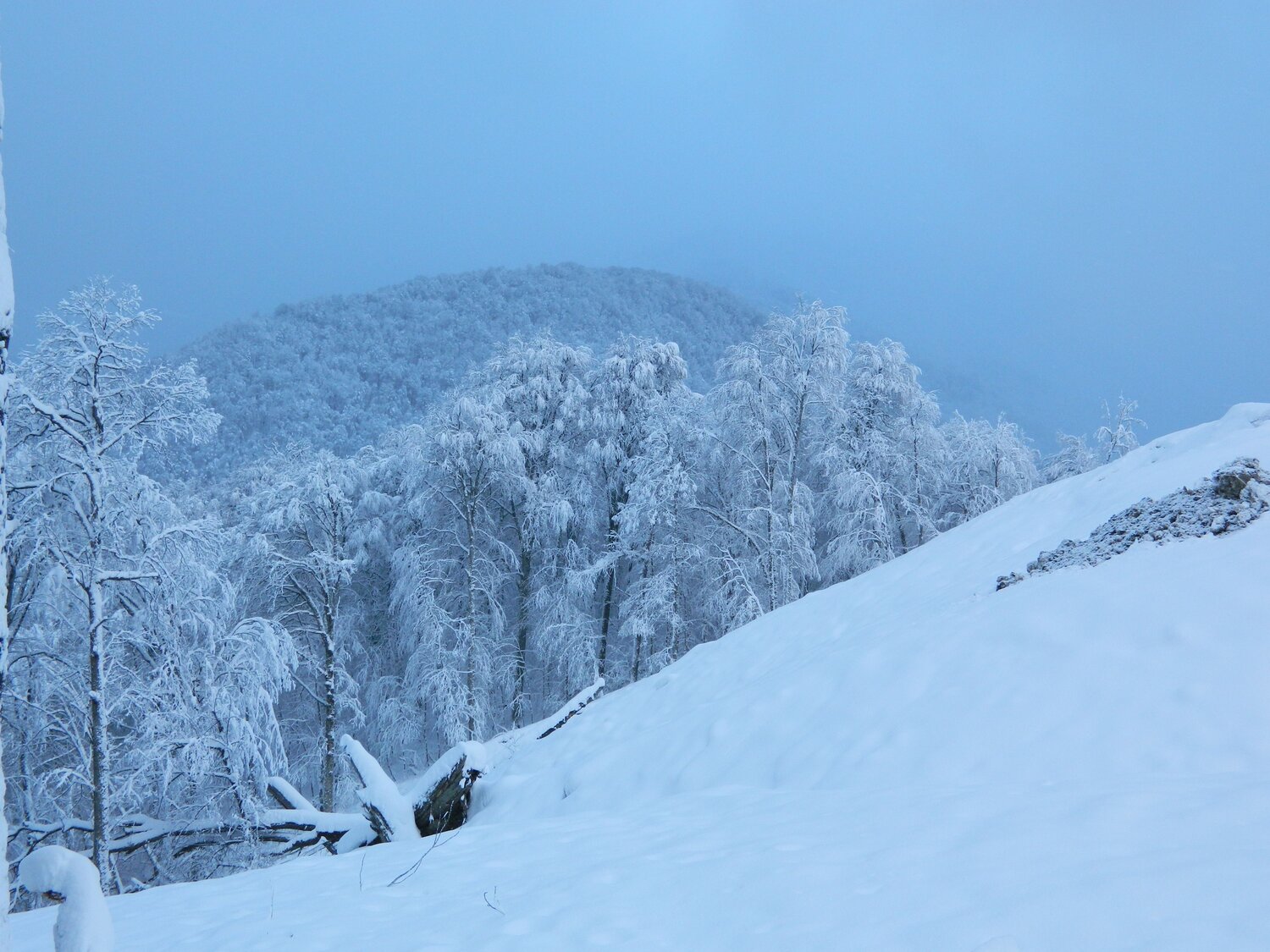 Photo #7101334