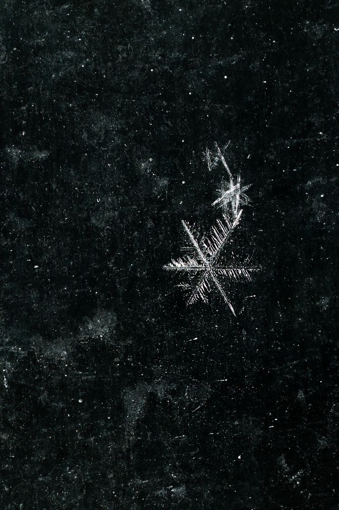 Photograph by Александра Чистякова