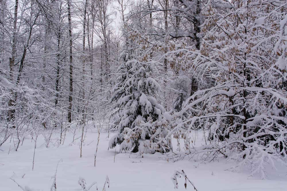 Photograph by Вячеслав Куксенков