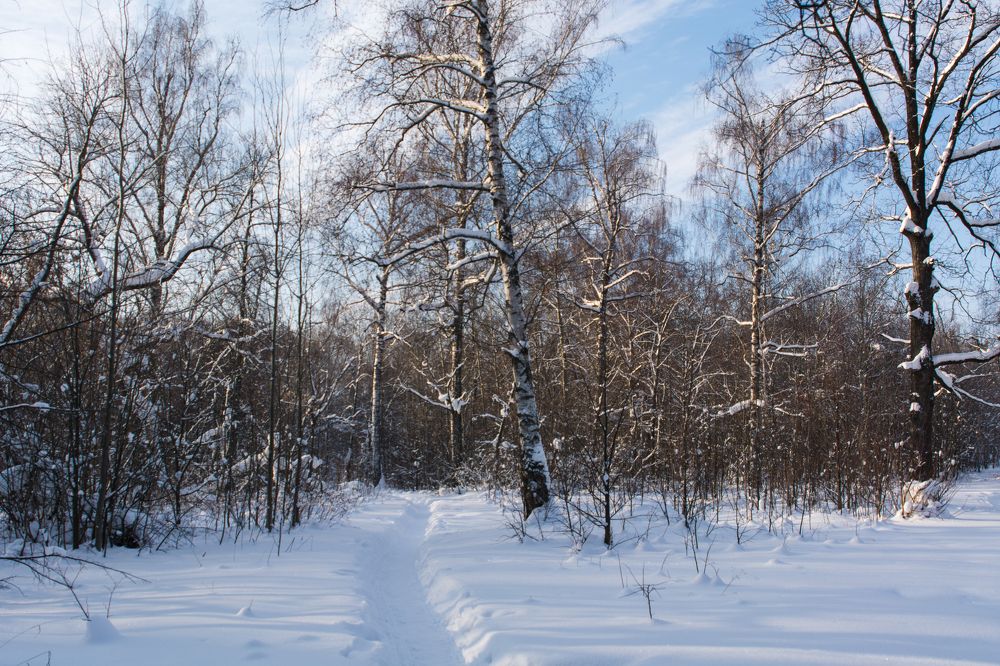 Photograph by Вячеслав Куксенков