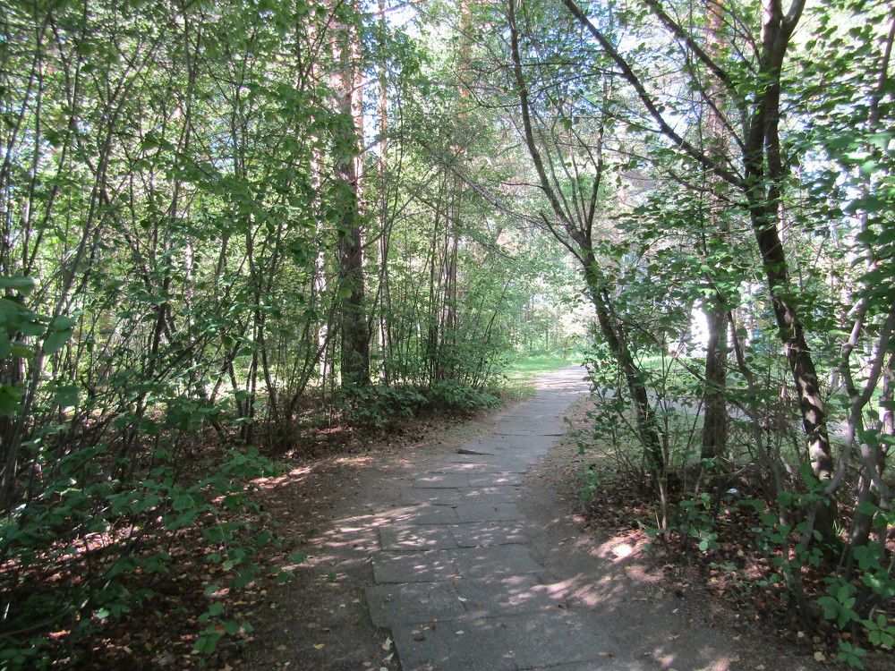 Photograph by Николай Худяков