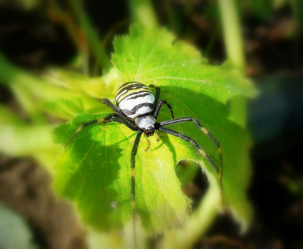 Фотография автора Павел Попов