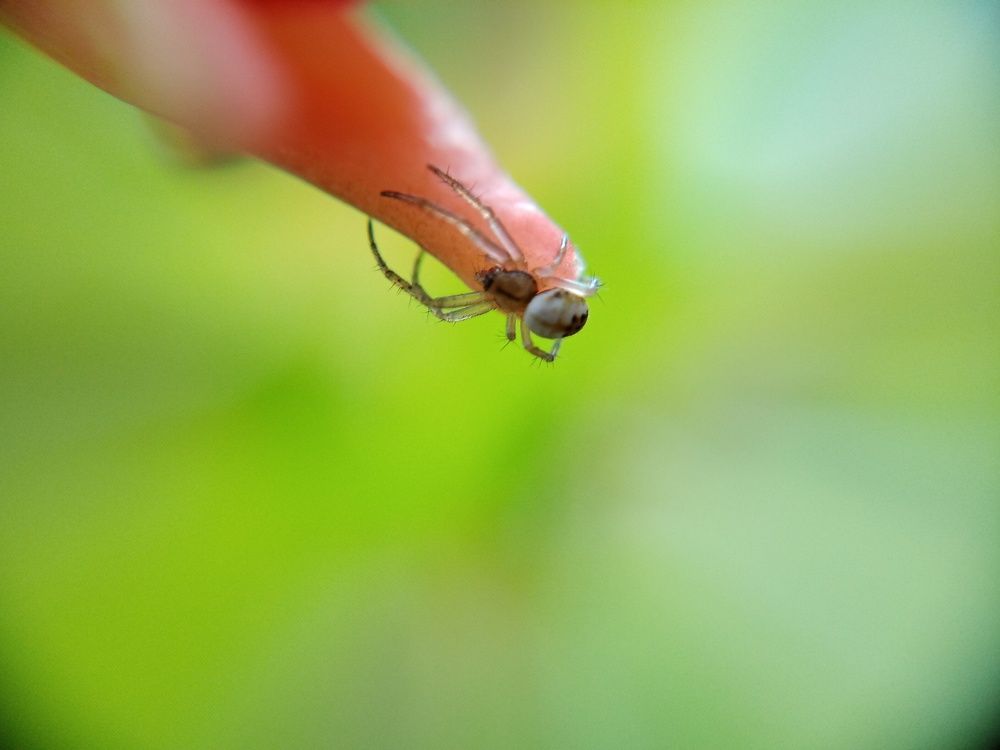 Photograph by Александра Лукашевич