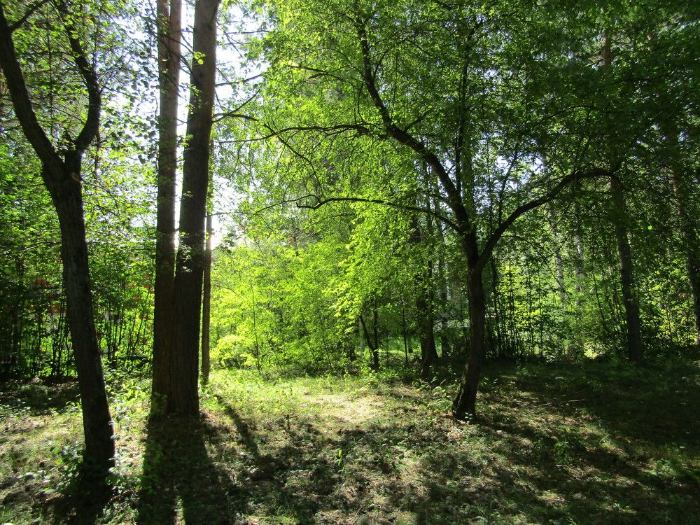 Photograph by Николай Худяков