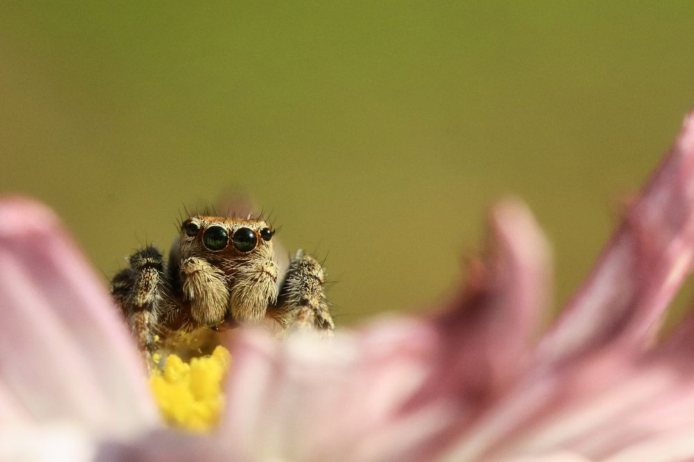 Photograph by Наталья Викарчук